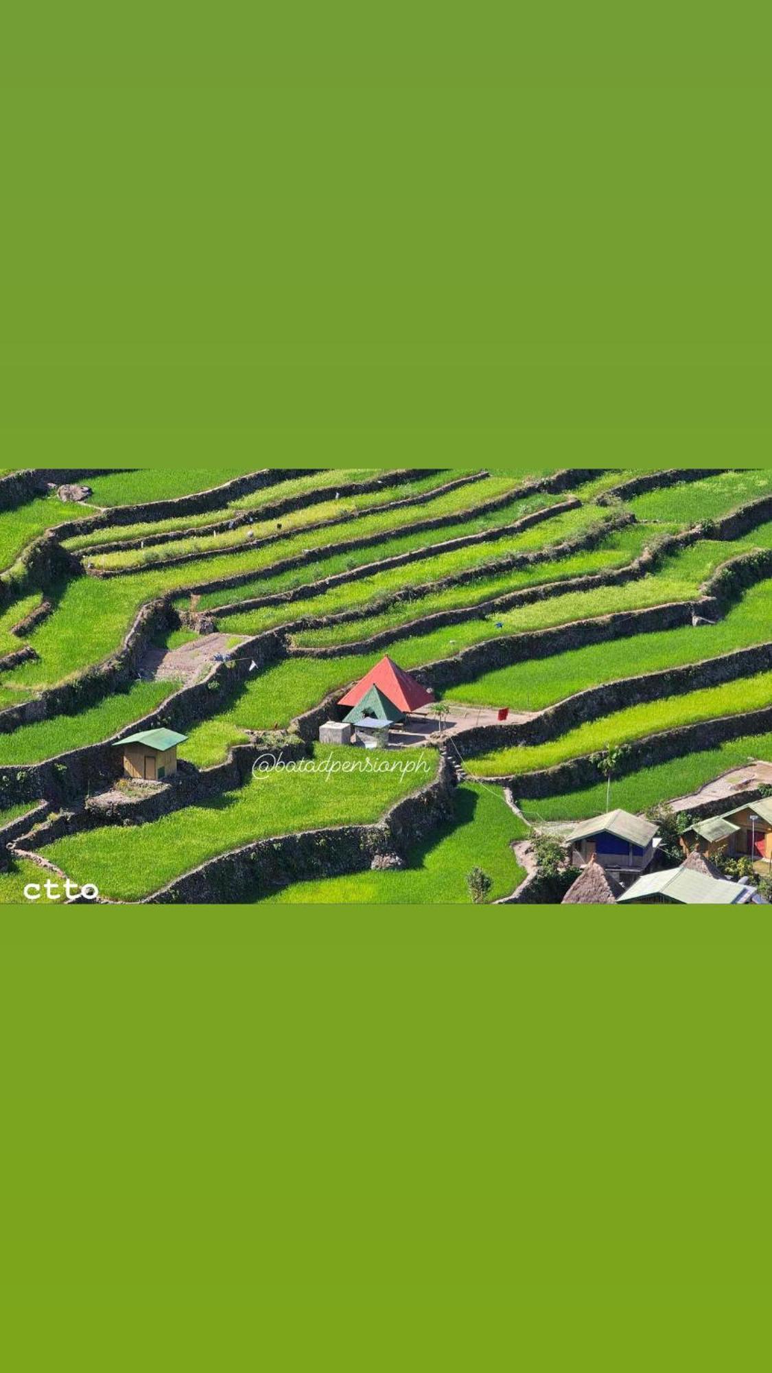 Batad Pension Ph 바나우에 외부 사진